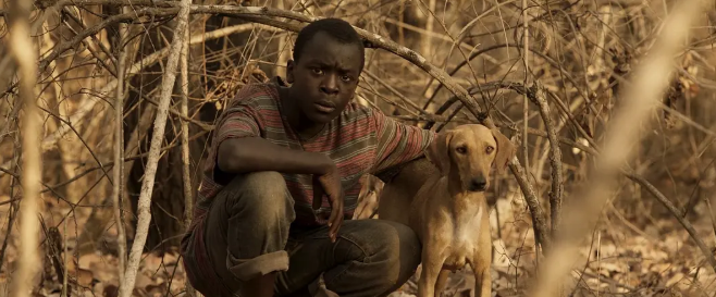 《驭风男孩》：一切都无法阻拦梦想