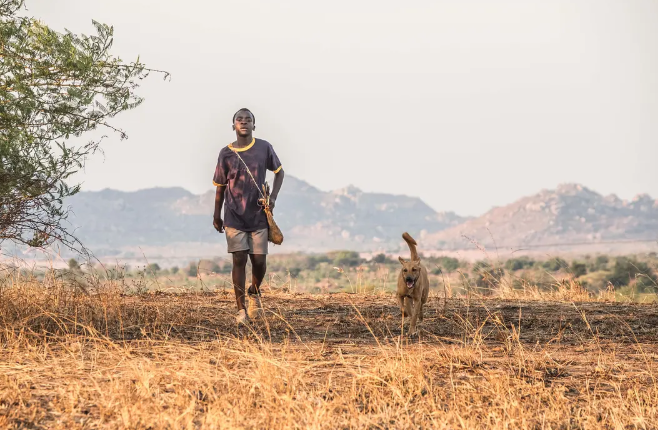 《驭风男孩》：一切都无法阻拦梦想