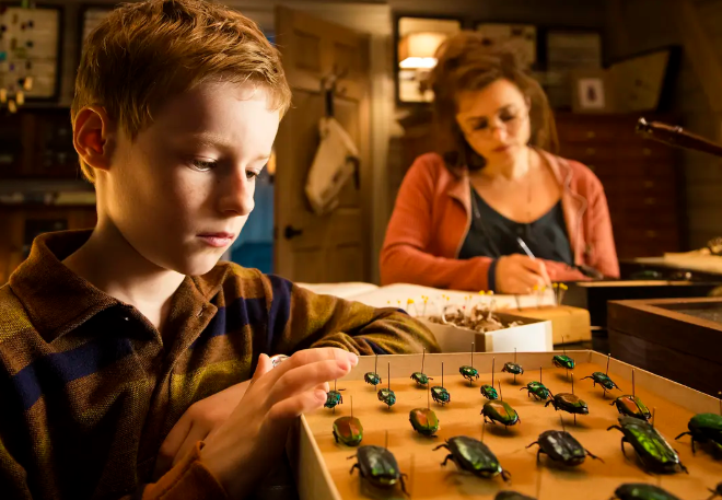 《少年斯派维的奇异旅行》：天才少年的治愈之旅