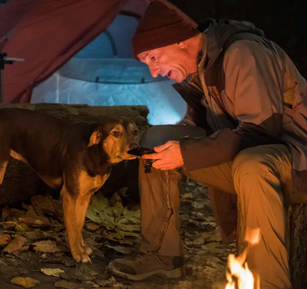 《一条狗的回家路》：被需要的力量