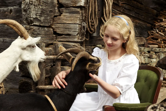 《海蒂和爷爷》：温暖的童话