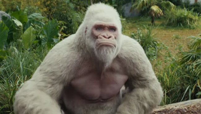 《狂暴巨兽》：A级片视效的怪兽电影