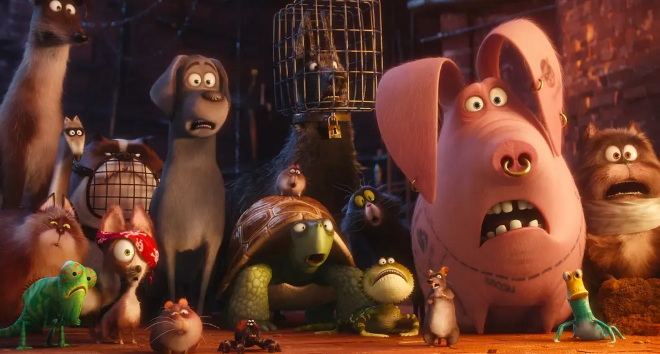 《爱宠大机密》:每一处都充满不可思议 《爱宠大机密》:每一处都充满不可思议