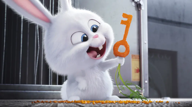 《爱宠大机密》:每一处都充满不可思议 《爱宠大机密》:每一处都充满不可思议