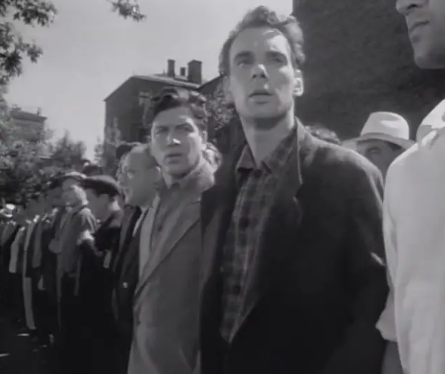 《雁南飞》:极具诗意的战争电影 《雁南飞》:极具诗意的战争电影