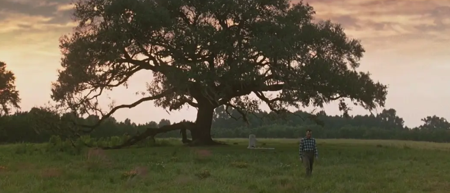 《阿甘正传》：全力以赴做每一件事