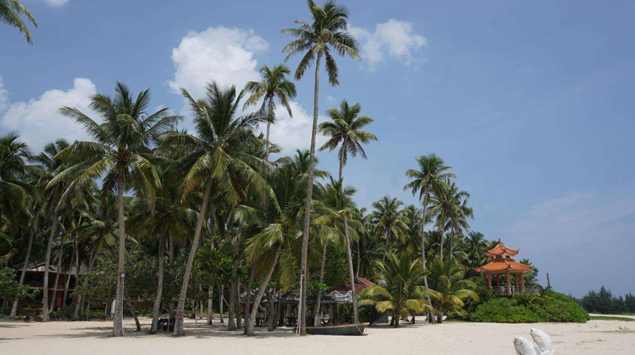 东郊椰林风景区