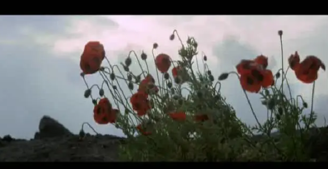 《多可爱的战争》：广受欢迎的“战争游戏”