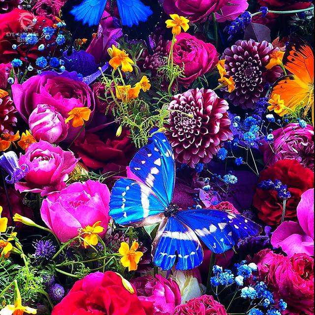 2022蜷川实花北京个展时间安排+门票预订 2022蜷川实花北京个展时间安排+门票预订