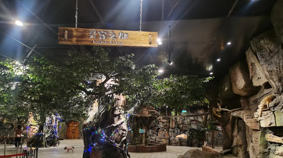 沈阳灵客欢乐动物园