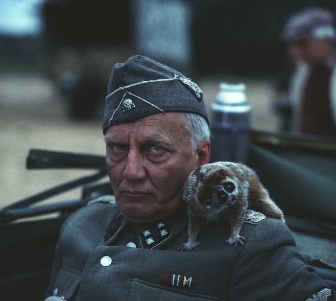 《自己去看》：安魂曲里的射击