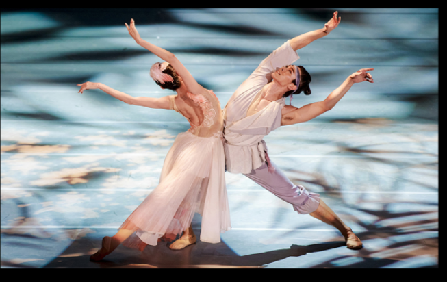 2022舞剧《朱鹮》杭州站演出介绍、订票地址 2022舞剧《朱鹮》杭州站演出介绍、订票地址