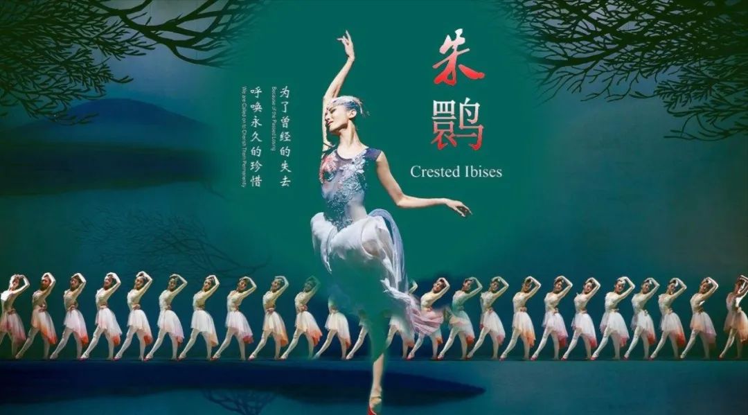 2022舞剧《朱鹮》杭州站(时间+门票+剧目简介) 2022舞剧《朱鹮》杭州站(时间+门票+剧目简介)