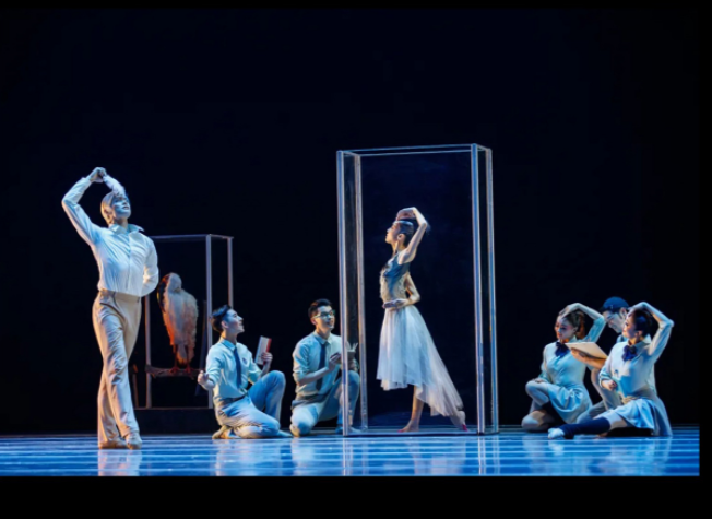 2022舞剧《朱鹮》杭州站演出介绍、订票地址 2022舞剧《朱鹮》杭州站演出介绍、订票地址