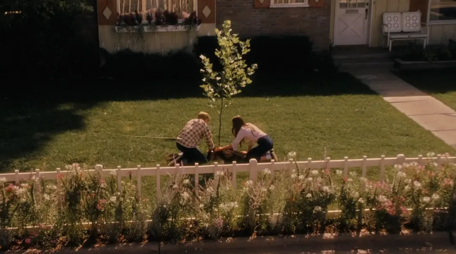 《怦然心动》：经典纯真爱情电影