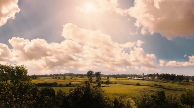 《怦然心动》：经典纯真爱情电影