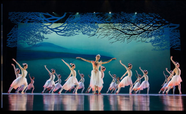 2022舞剧《朱鹮》杭州站演出介绍、订票地址 2022舞剧《朱鹮》杭州站演出介绍、订票地址