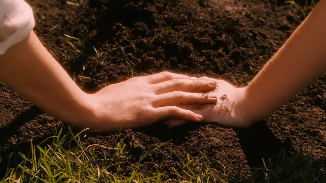 《怦然心动》：经典纯真爱情电影