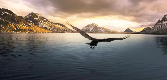 《阿尔法：狼伴归途》：诗歌一般的远古人狼旅途