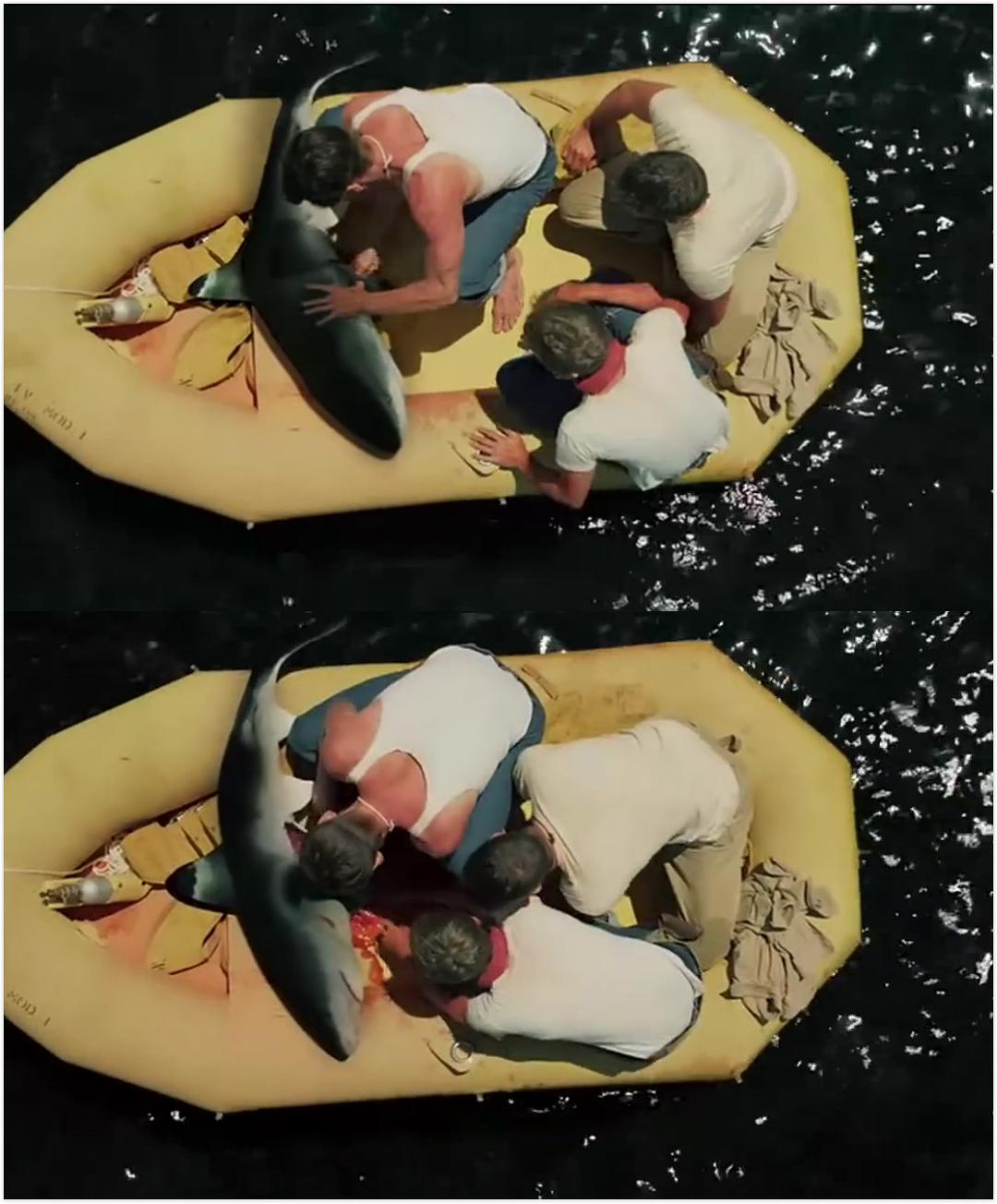 《太平洋幽灵》：坚韧的品质