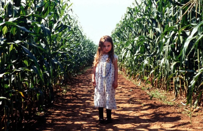 《天兆》：生命本是一场奇迹