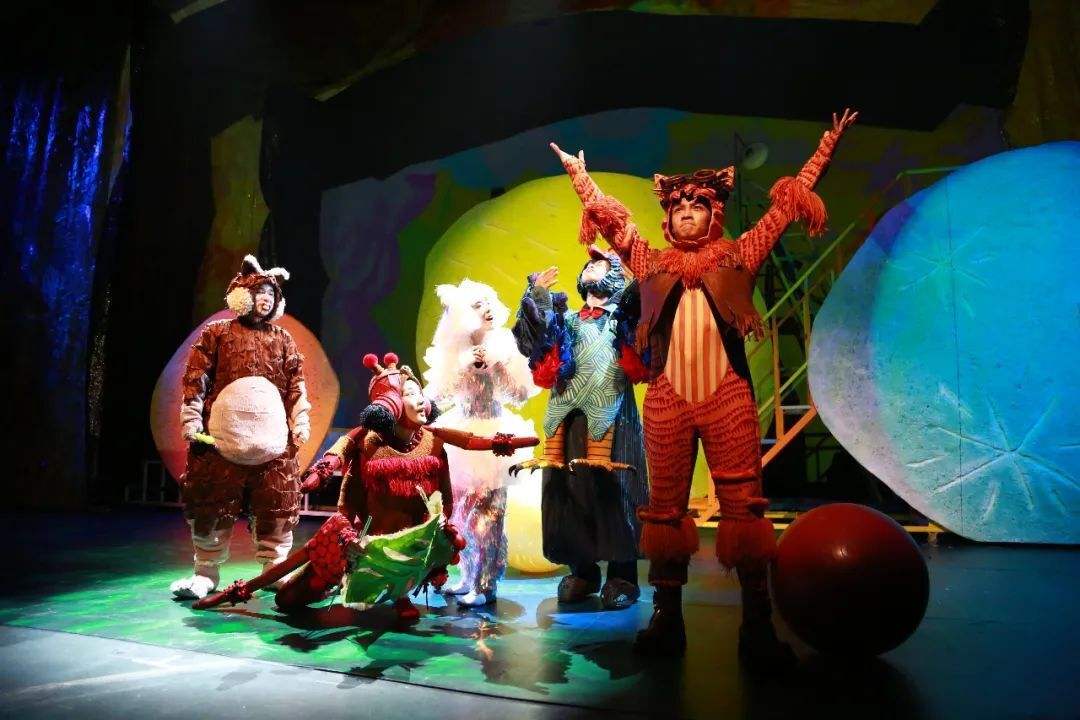 2022舞台剧《滑雪场的流浪猫王》北京站（时间、剧情、门票）