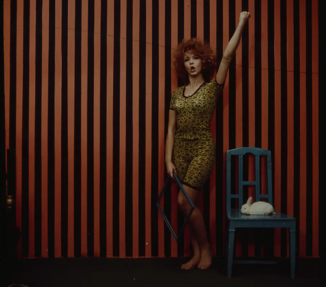 《有机体的秘密》：一个给灵魂补洞的人