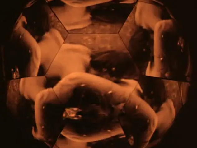 《有机体的秘密》：一个给灵魂补洞的人