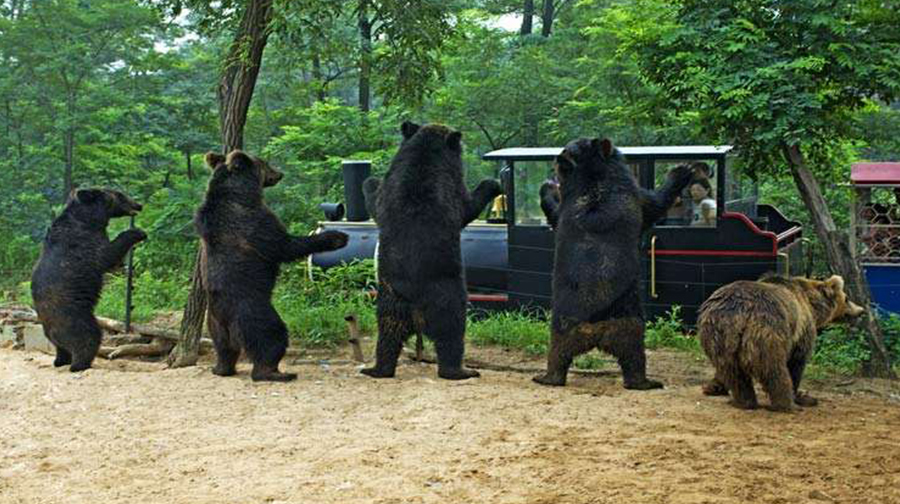 秦皇岛野生动物园