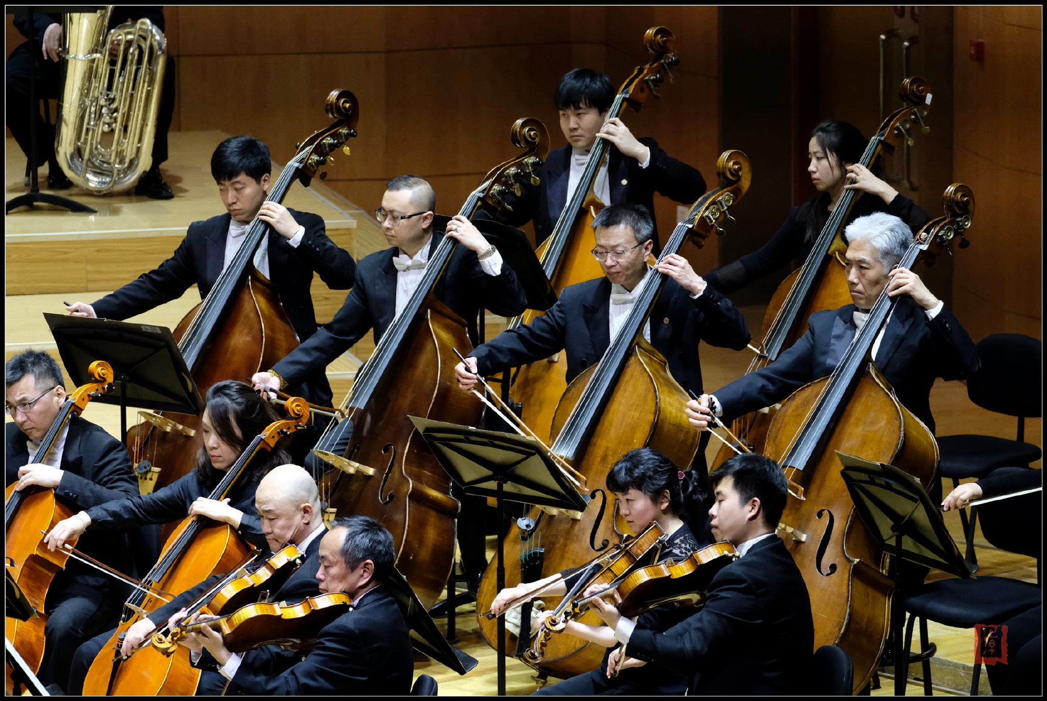 2023星火乐队郑州音乐会门票信息+场馆+演出安排 2023星火乐队郑州音乐会门票信息+场馆+演出安排