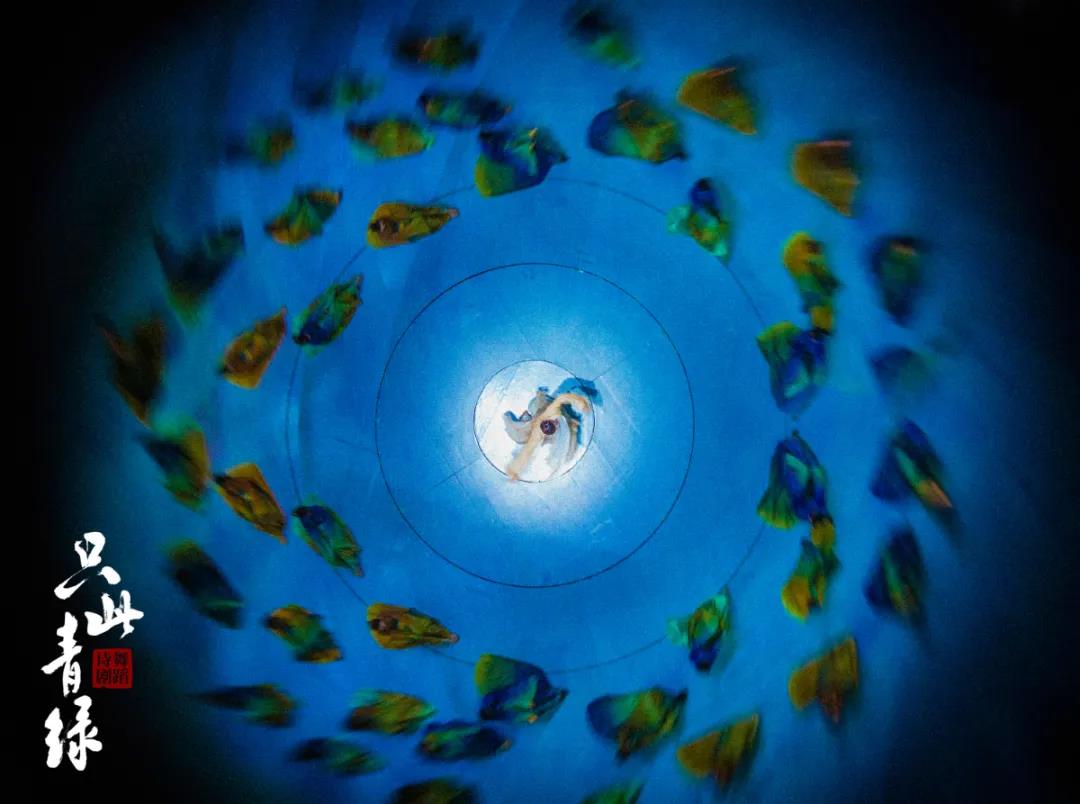 2022舞剧《只此青绿》遵义站剧情简介+门票价格