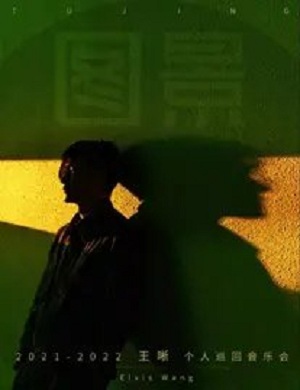 王晰武汉演唱会