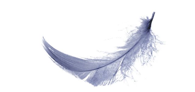 2022音乐剧《堕落天使》上海站演出介绍、售票通道