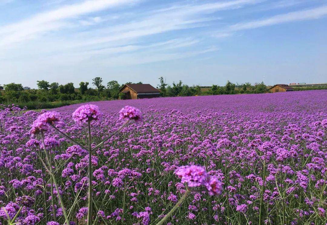 2022南京未命名音乐节购票入口/时间/阵容