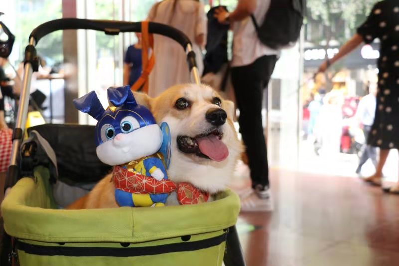 2022成都国际宠物博览会在哪里订票？