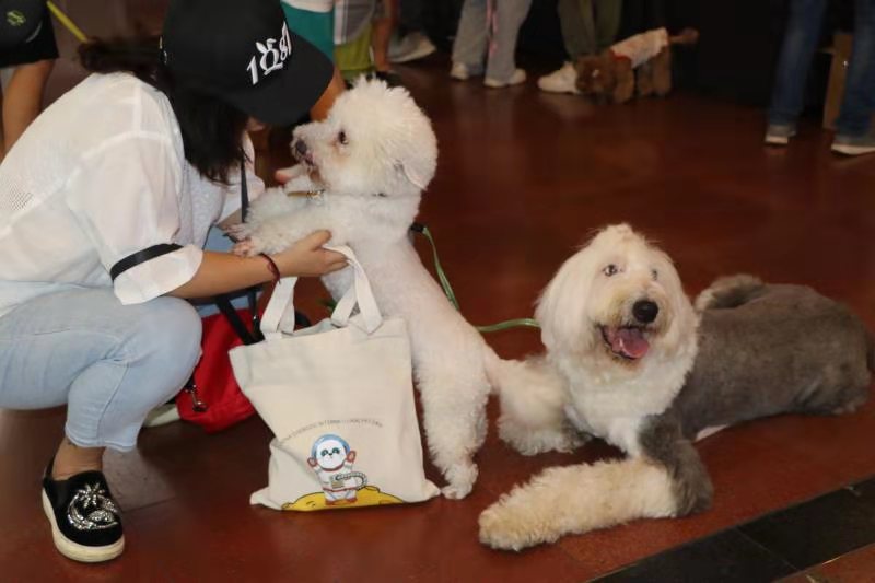 2022成都国际宠物博览会在哪里订票？