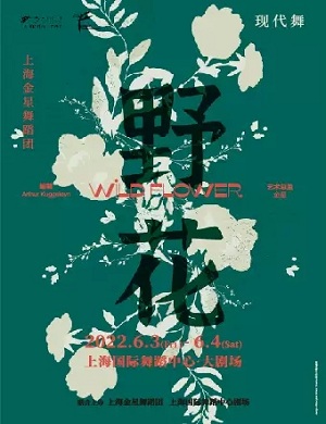 现代舞《野花》上海站
