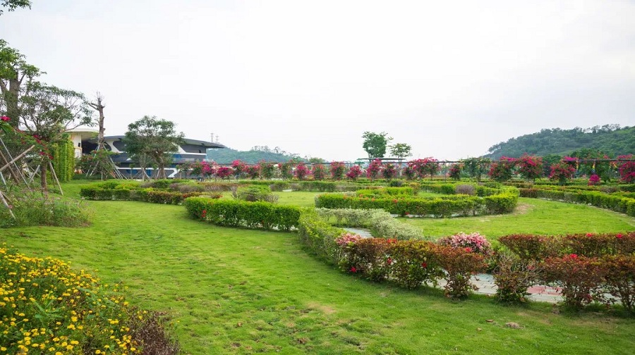 岭南大地百草园