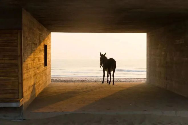 2022左小诅咒上海演唱会演出时间+购票方式