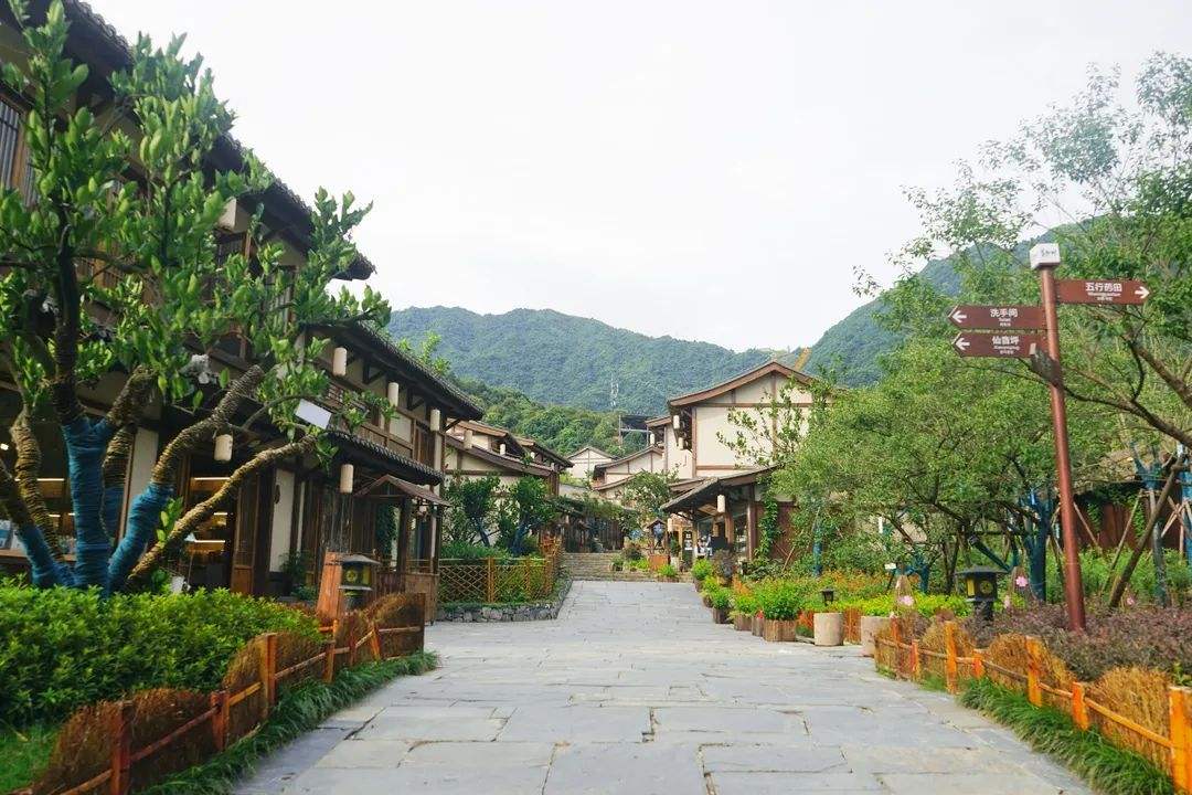 2022葛仙村星云青燥音乐节什么时候开票？