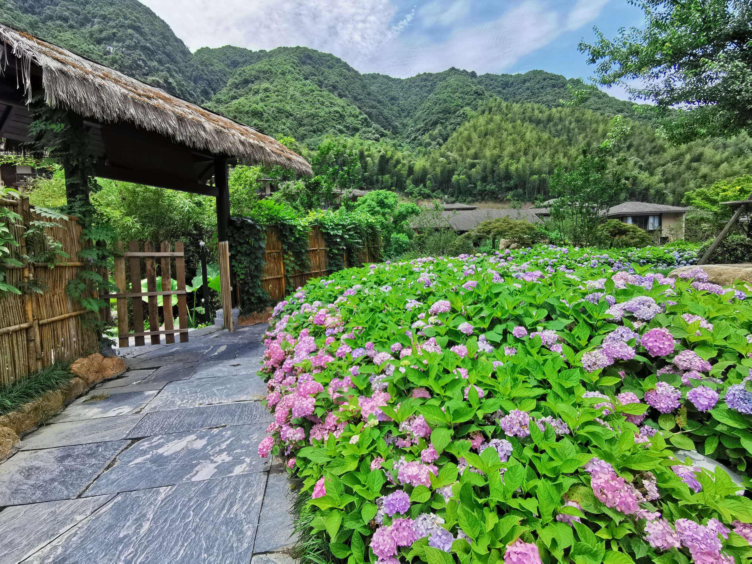 2022葛仙村星云青燥音乐节订票网址及门票价格