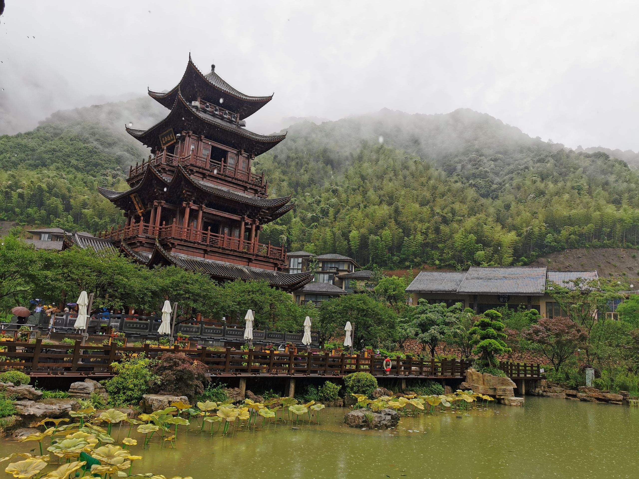 2022葛仙村星云青燥音乐节订票网址及门票价格