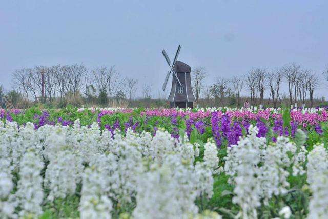 2022成都鲸音音乐嘉年华开售时间、演出介绍