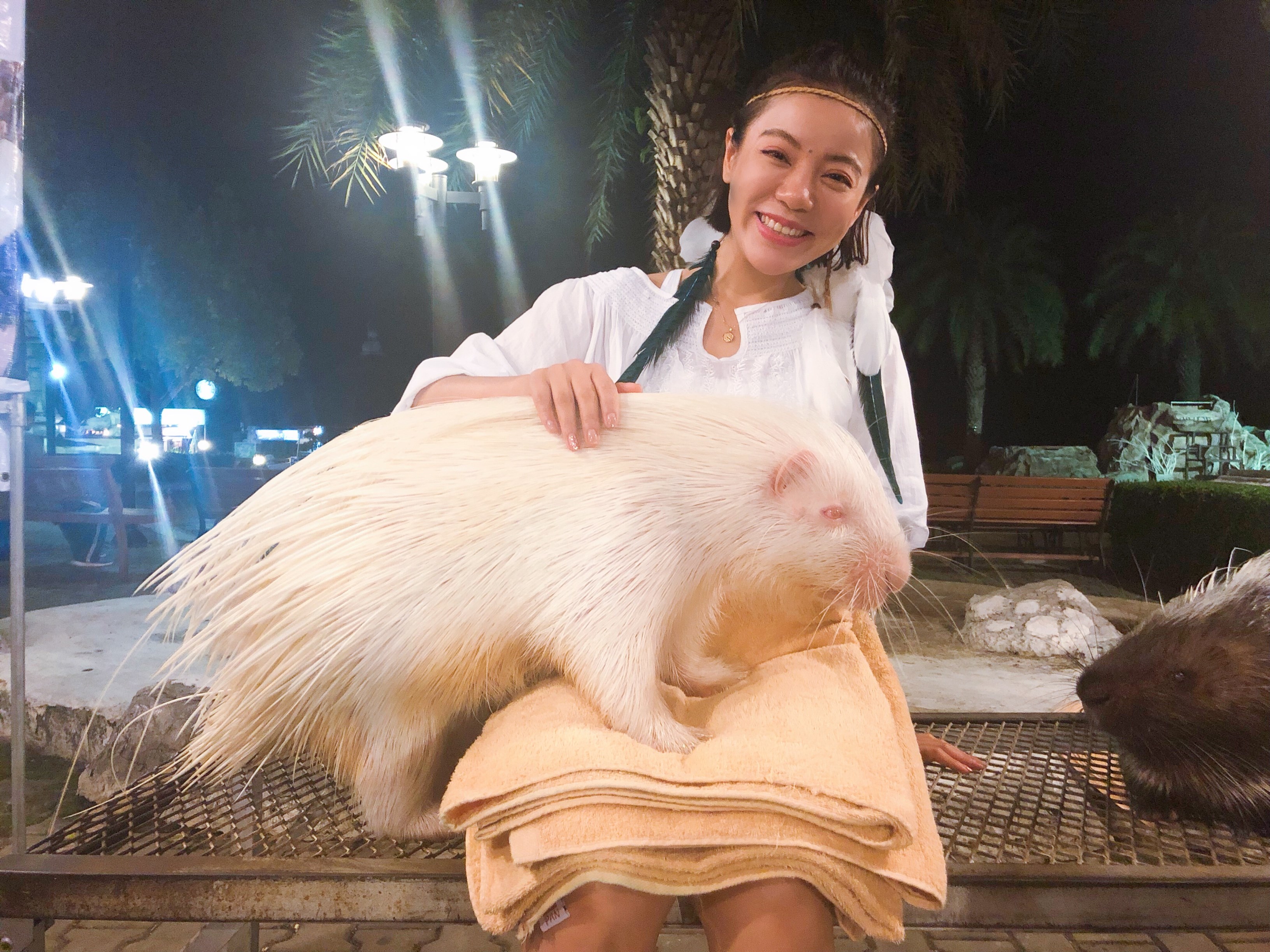 2022丁当苏州演唱会演出详情+门票价格