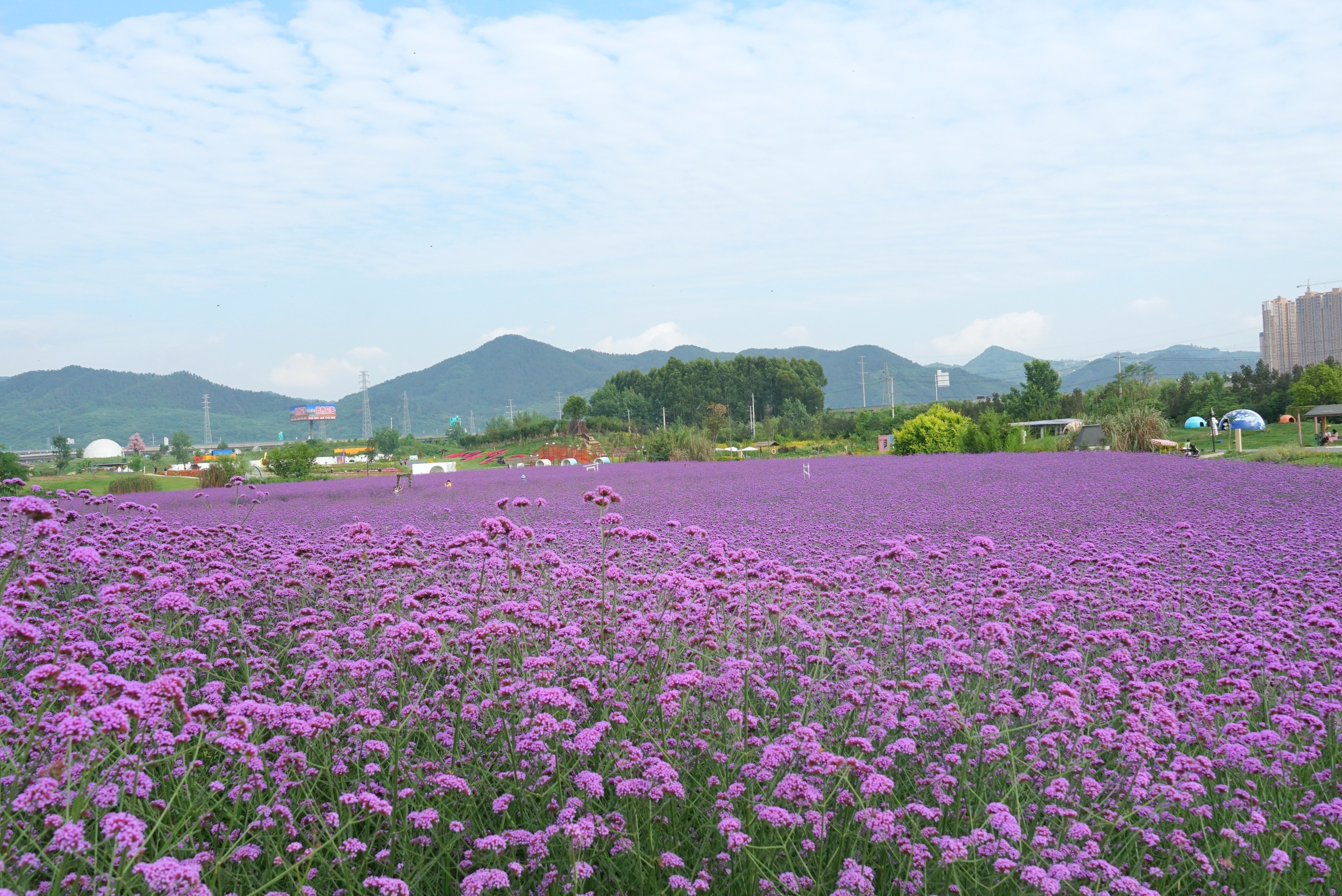 2022成都鲸音音乐嘉年华场地介绍、订票方式