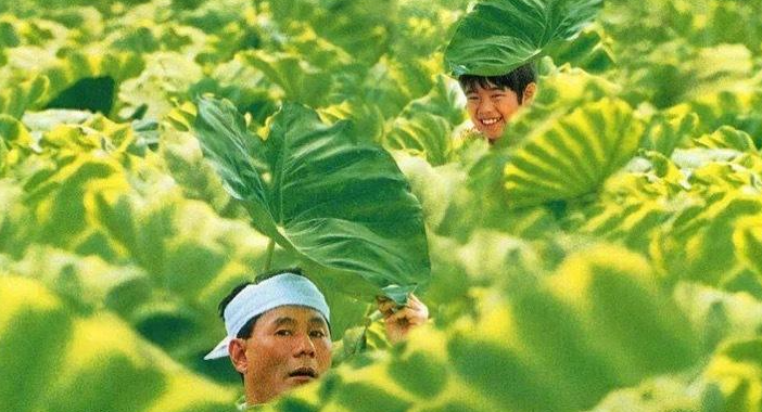 2023儿童六一视听交响音乐会《SUMMER》-成都站 2023儿童六一视听交响音乐会《SUMMER》-成都站