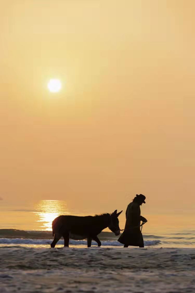 2022【虾米呈现】“庙会之驴“左小祖咒全国巡演-广州站 2022【虾米呈现】“庙会之驴“左小祖咒全国巡演-广州站