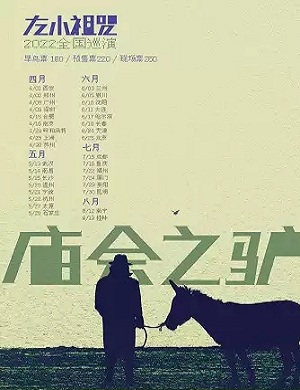 左小祖咒重庆演唱会