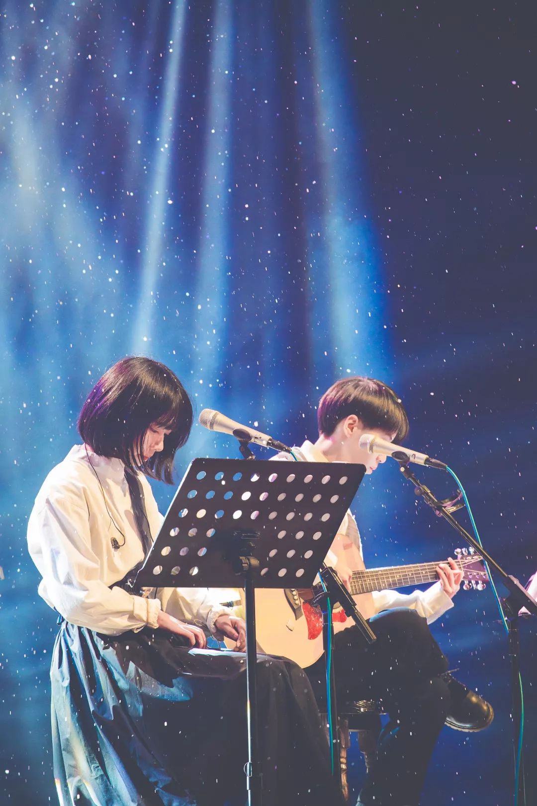 2022房东的猫石家庄演唱会（时间、演出详情、购票链接）