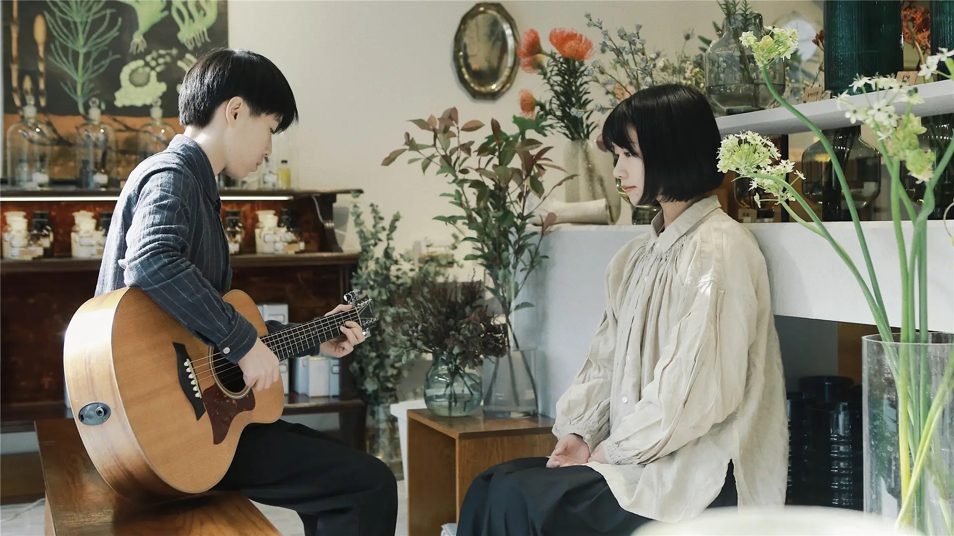 2022房东的猫石家庄演唱会订票指南+演出安排